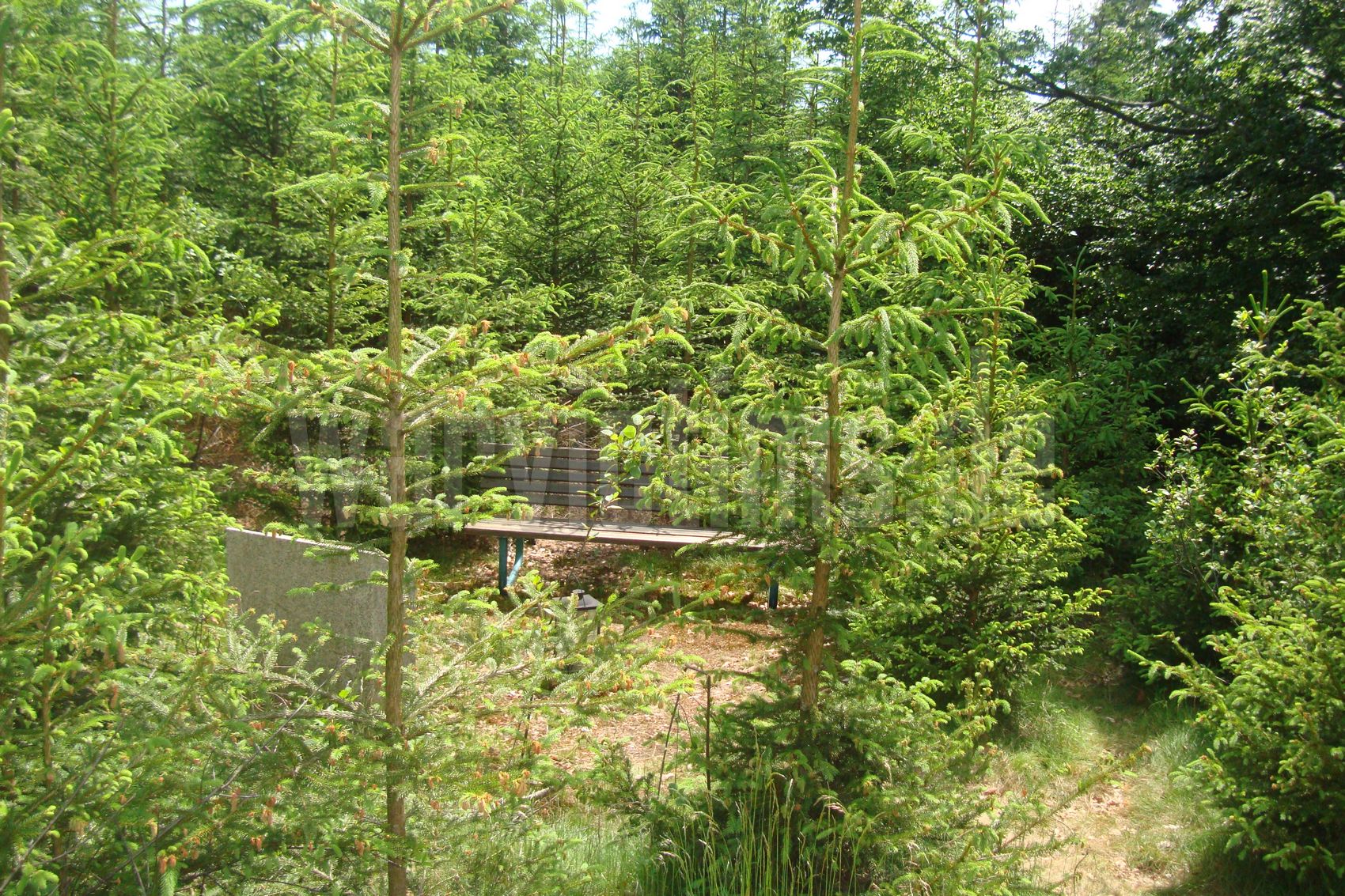 Leutkirch-Diepoldshofen+(Gedenkstein)