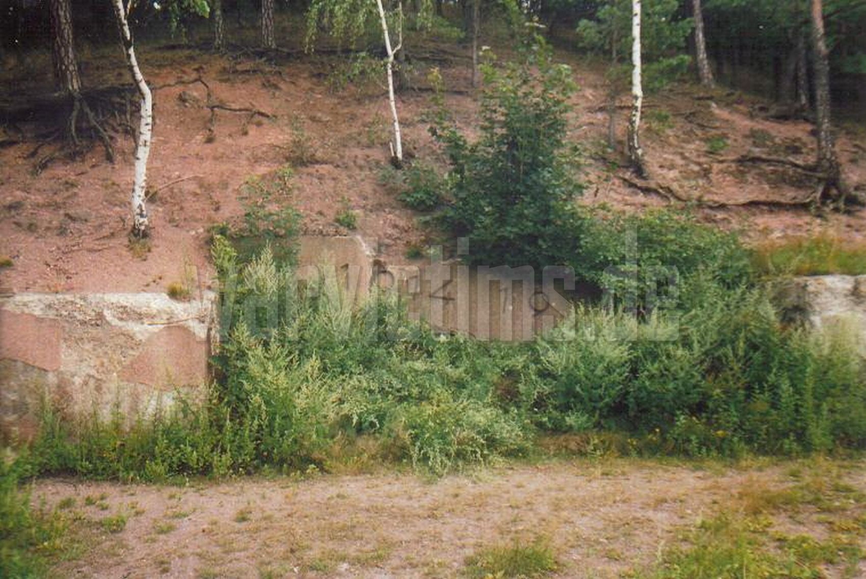 Freital-Hainsberg