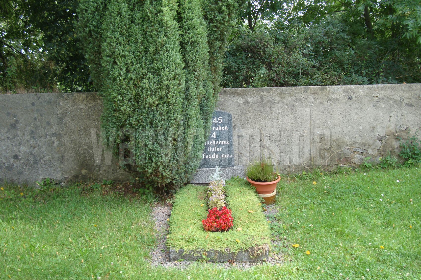 Weißenborn+(Erzgeb.)-Berthelsdorf
