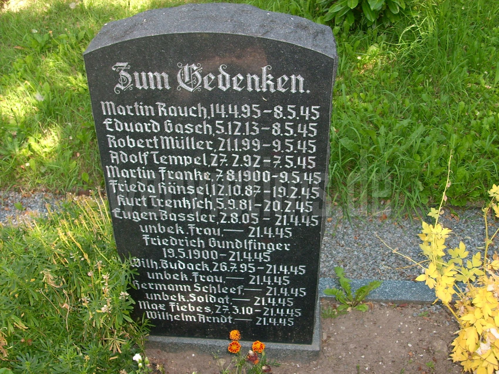 Bad+Gottleuba-Berggießhübel+-+OT+Börnersdorf