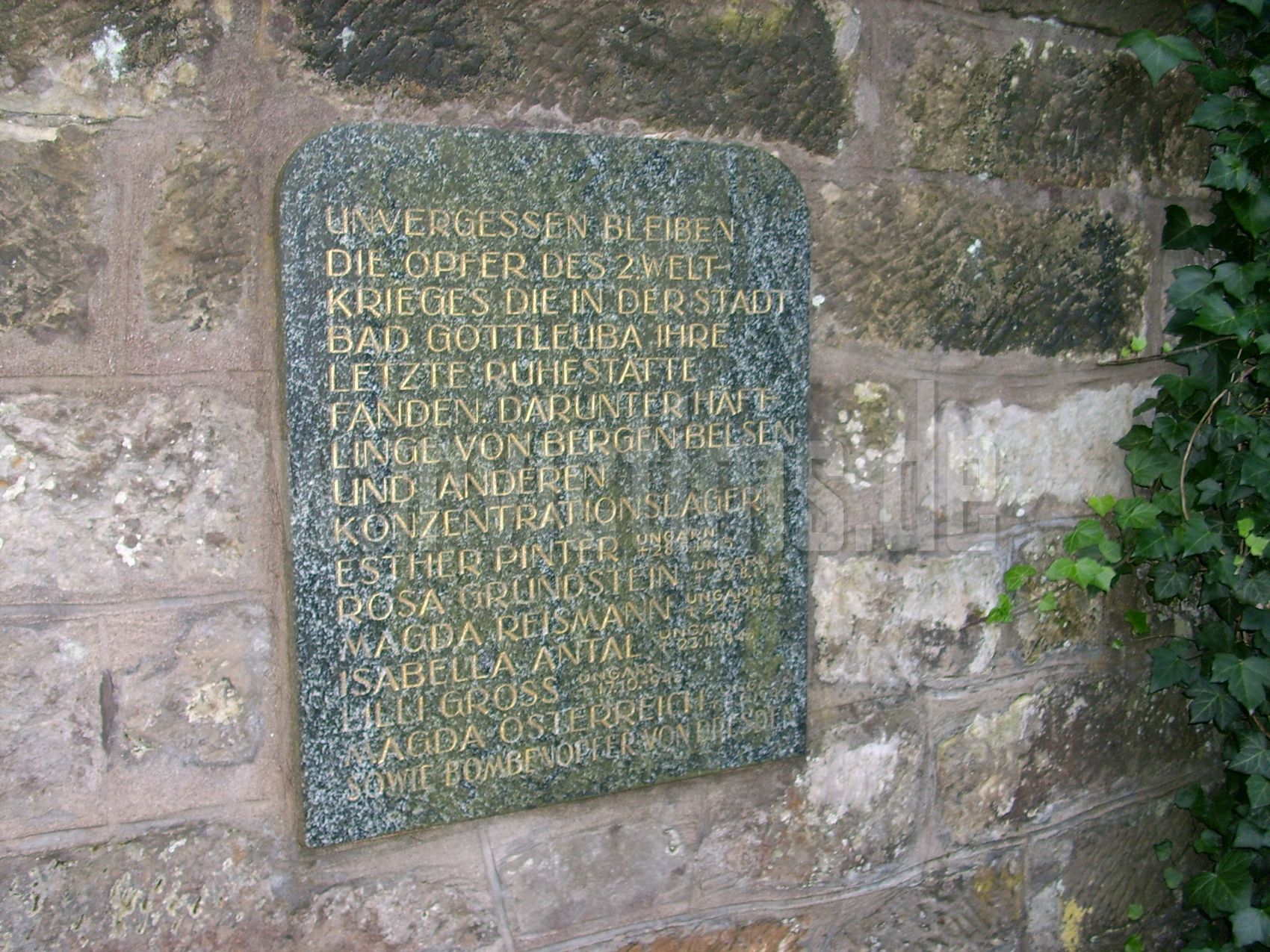 Bad+Gottleuba-Berggießhübel-OT+Bad+Gottleuba+(Unterer+Friedhof)