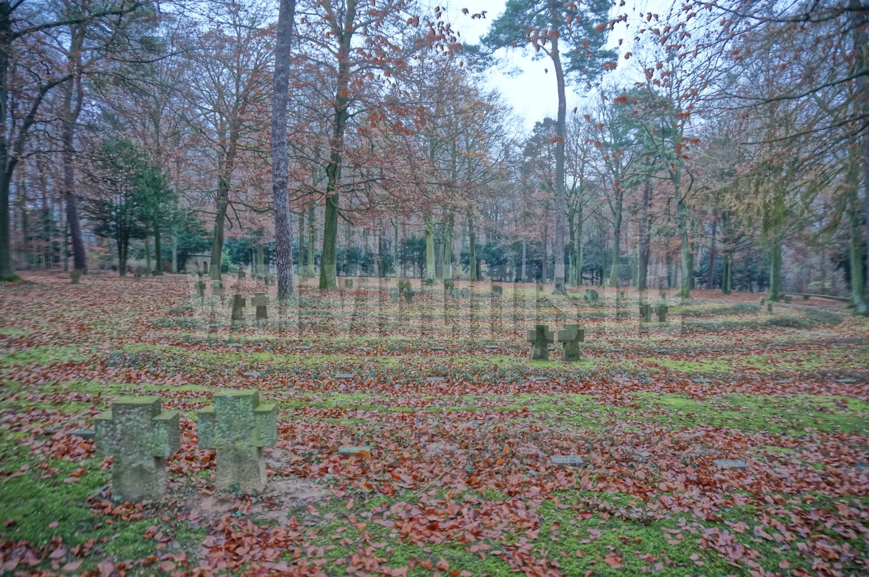 Heidelberg+-+Ehrenfriedhof