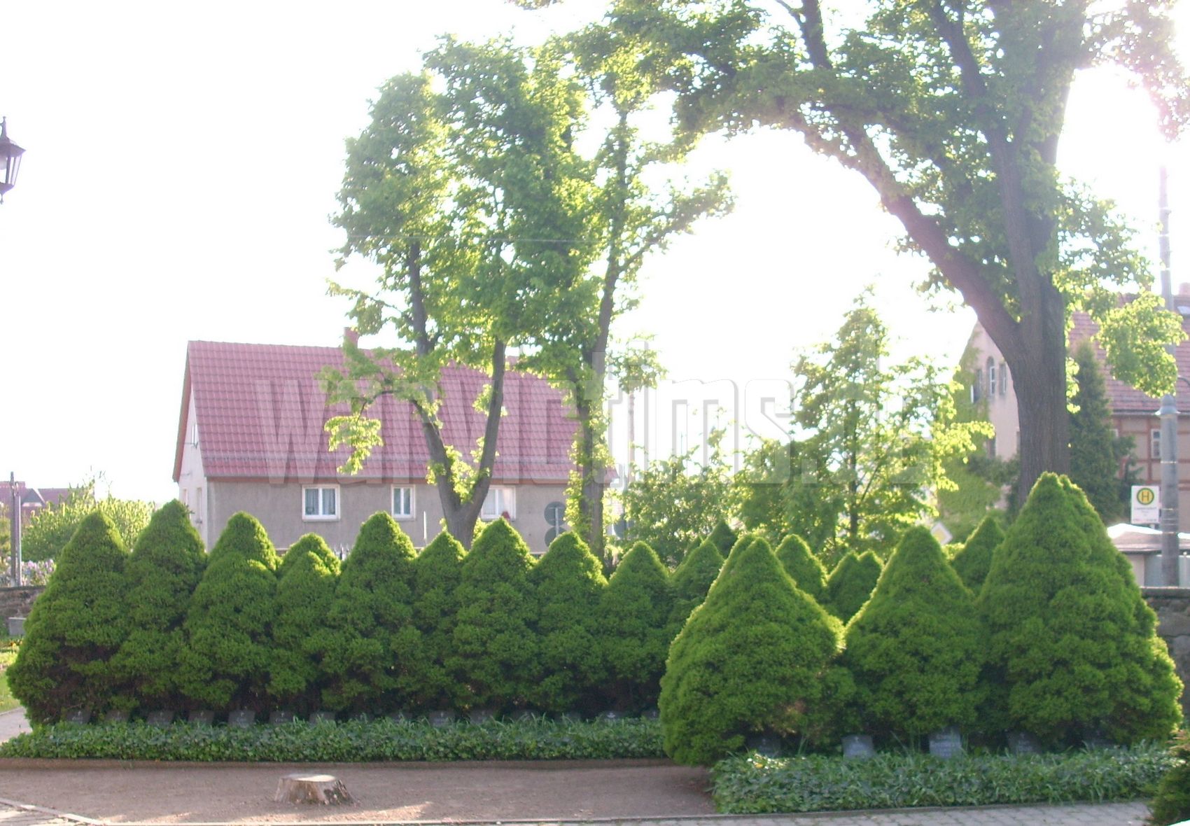 Wachau-Leppersdorf