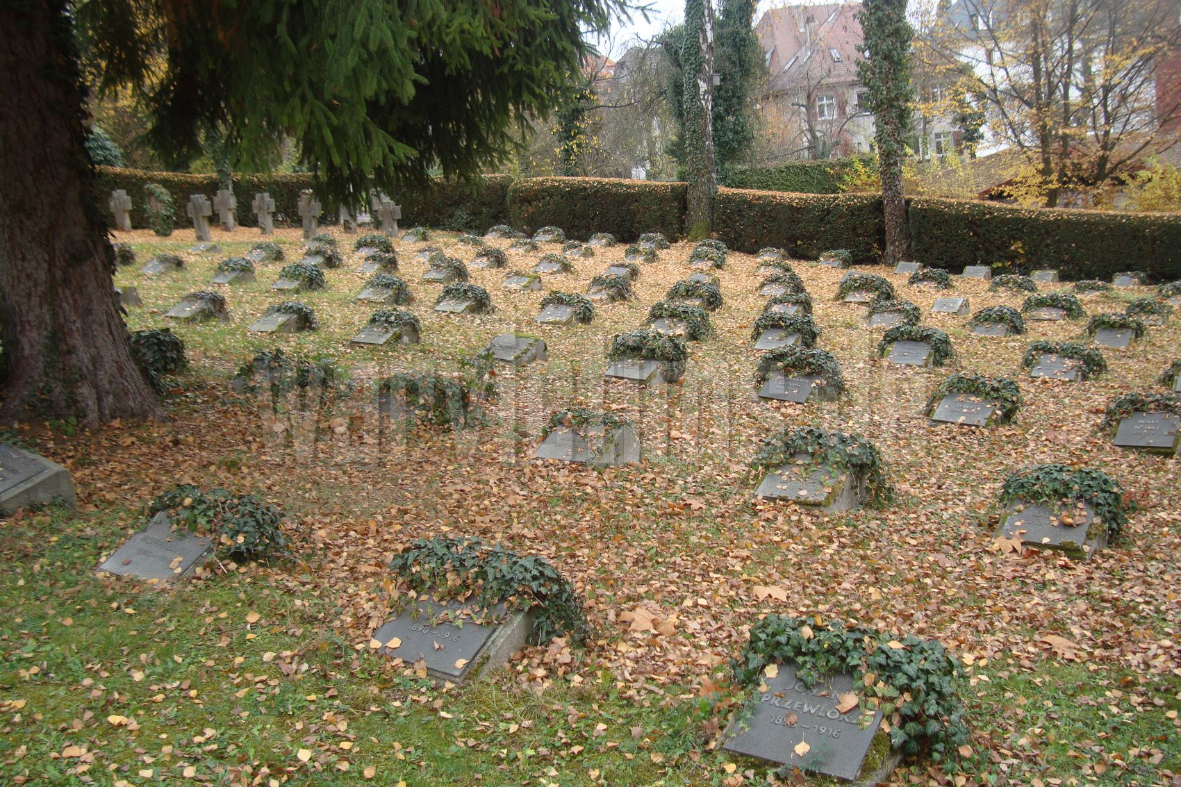 Tübingen-Stadtfriedhof